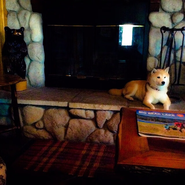 开云官网-决胜毫厘之间！尼日利亚鏖战力克洪都拉斯，格纳布里关键时刻一剑封喉